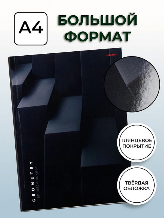 Бизнес-блокнот А4  160л 209*297 мм, "Темные ступени"