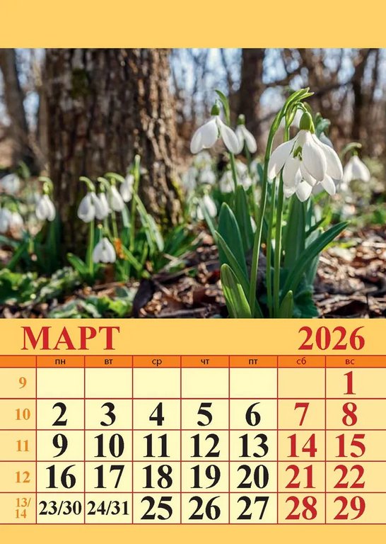 Календарь 2026г. магнитный отрывной "Природа" 9,6*13,5 см