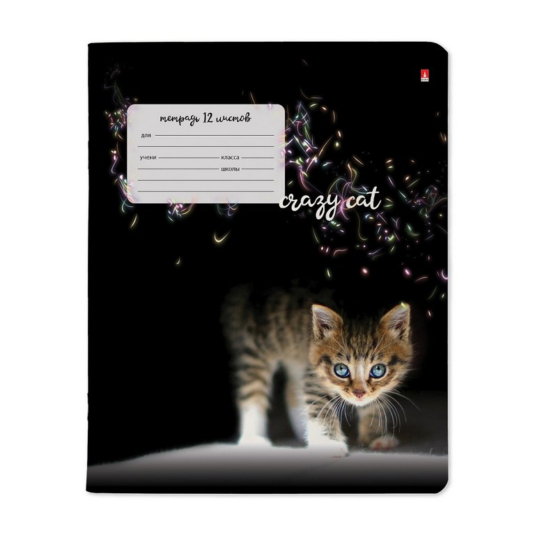 Тетрадь 12 лист лин. А5 "УДИВИТЕЛЬНЫЕ КОТЯТА"  5 ВИДОВ