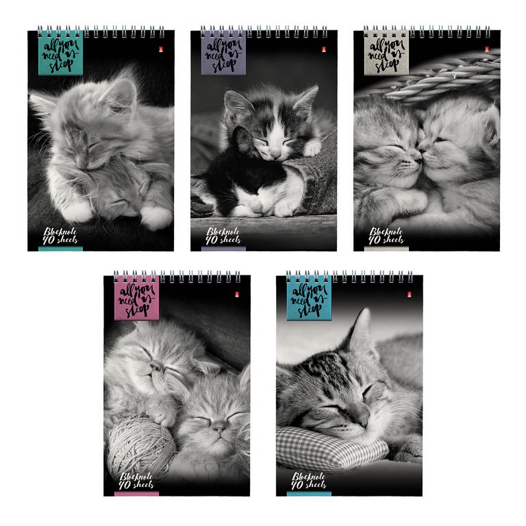 Блокнот А5  40л., 127*202 мм, на гребне Альт "КОШКИ" 5 видов