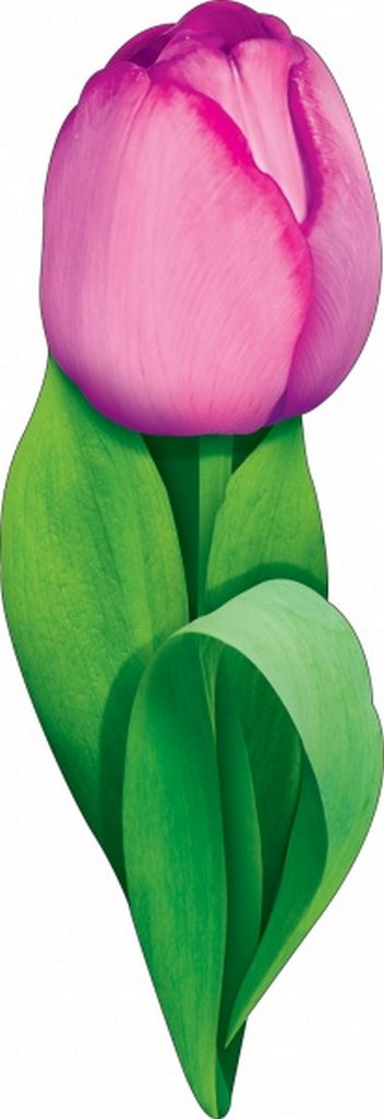 Наклейка оформительская на скотче весенняя 150*150мм "Тюльпан"