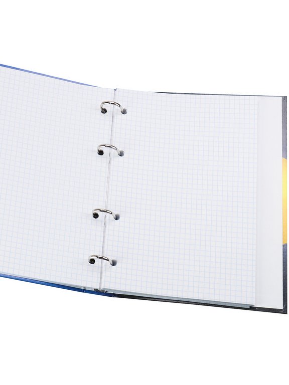 Тетрадь 80 лист кл. А5+ на кольцах "КРУГИ НА ВОДЕ"