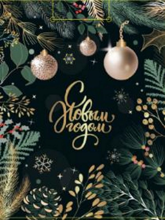 Пакет бумажный НГ 18*23см ламиниров. "Волшебные ветви"