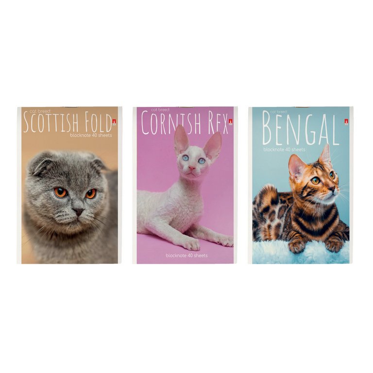 Блокнот А6  40л., 105*148 мм, на скрепке "Котята"