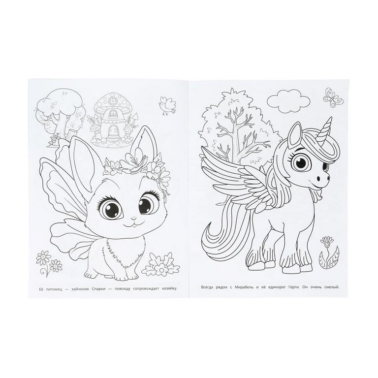 Раскраска А4 "Лесные феи" 16 стр. Умка