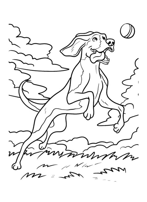 Раскраска с наклейками А3 "Котики и собачки" ПРОФ-пресс Раскраска с наклейками А3 "Котики и собачки" ПРОФ-пресс