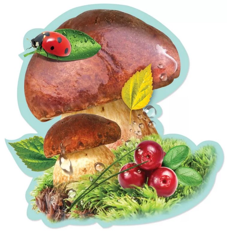 Наклейка оформительская на скотче осенняя 150*150мм "Белый гриб"