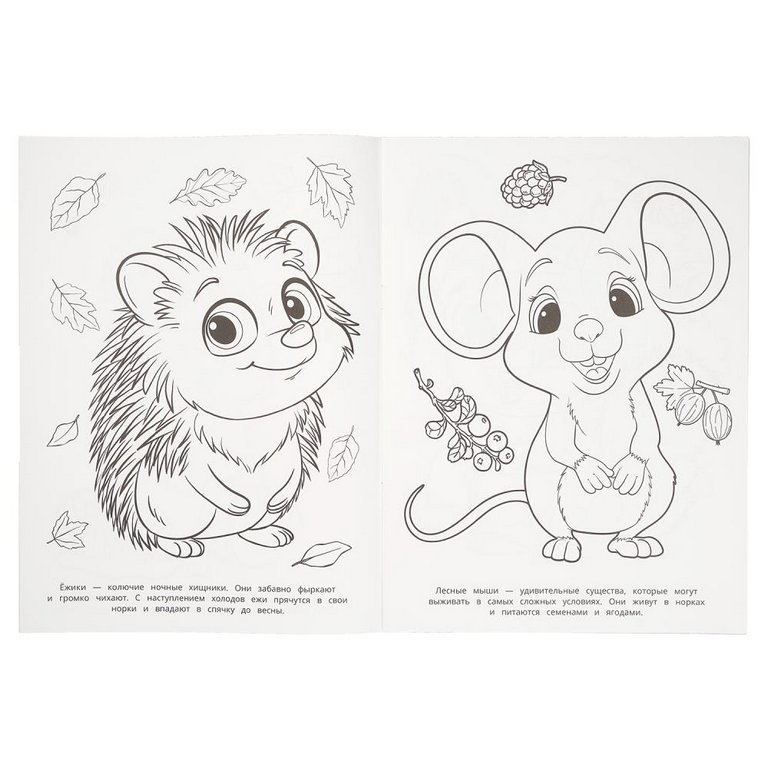 Раскраска А4 "Лесные жители" 16 стр. Умка
