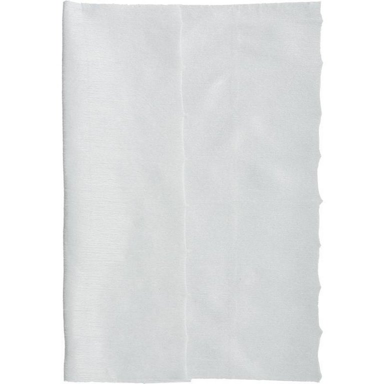 Салфетка для уборки помещений (вискоза) 70 шт/рул., 22х23 см, 40 г/м2, Luscan