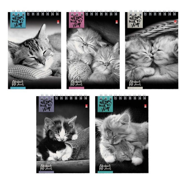 Блокнот А6  40л., 105*148 мм, на гребне "Котята"