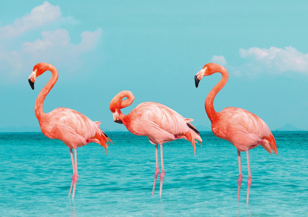 Пазлы 1000 дет. "Трио" ФРЕЯ