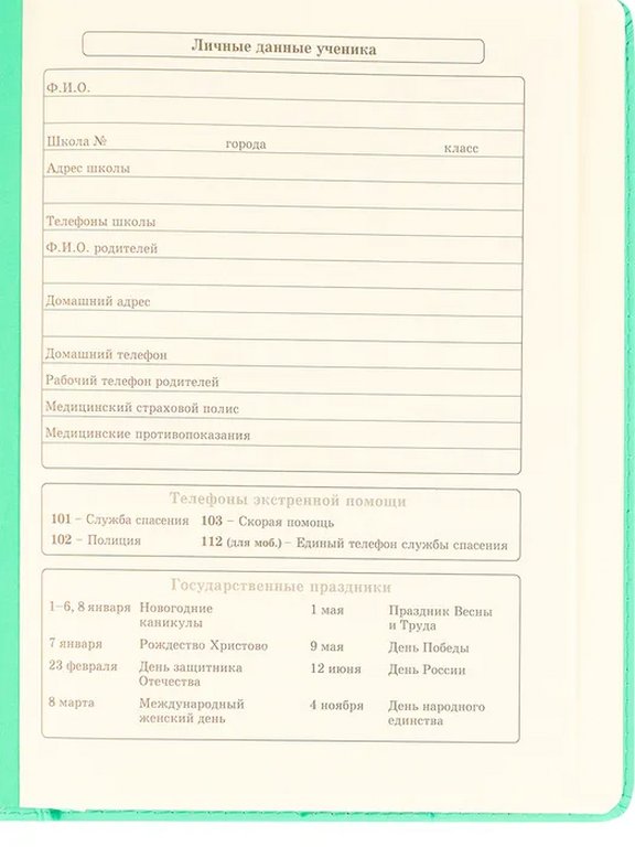 Дневник школьный мягкая обложка  с поролоном, кожзам "АВОКАДО" 48л, ляссе