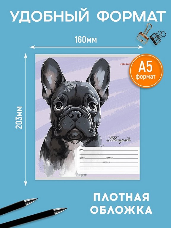 Тетрадь 12 лист кл. А5 "Красивые собачки" Prof-Press