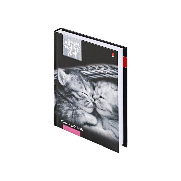 Бизнес-блокнот А6 160л., 110*145 мм, Альт "КОТЯТА "МУР-МУР"