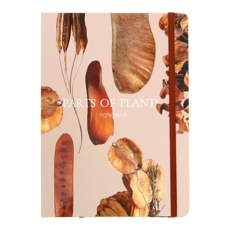 Блокнот А5  96л., 148*210 мм, обложка на резинке "Parts of plants" печатный блок 70г/м2