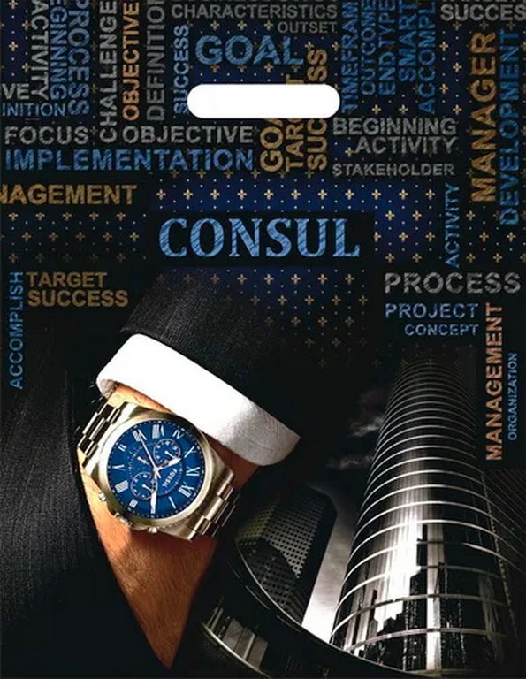 Пакет пробивной 31*40см (60 мкм) "Консул" ПВД