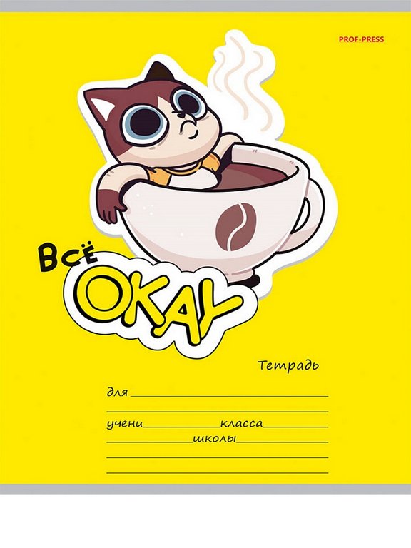 Тетрадь 18 лист кл. А5 "ВСЁ ОКЕЙ" ассорти Prof-Press