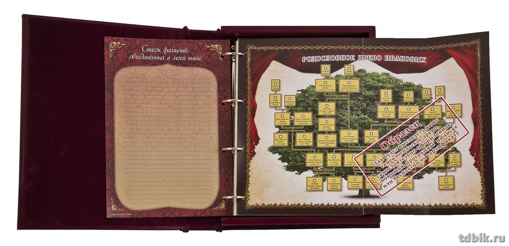 Родословная книга "Генеалогическая книга рода"