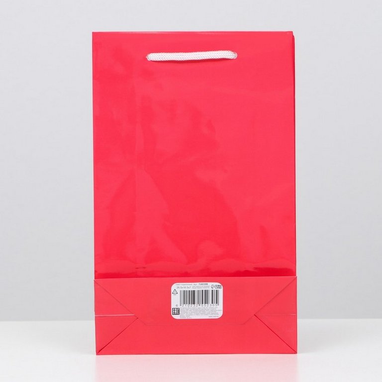 Пакет бумажный 16,5*26,5см ламинированный, красный