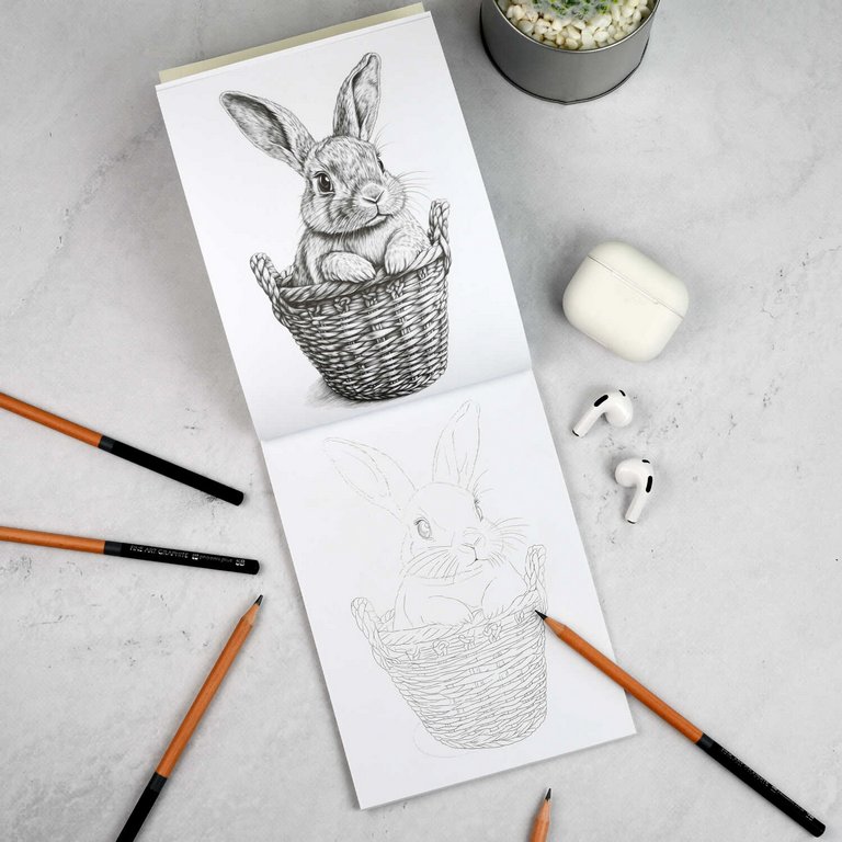 Раскраска А5 "Мои скетчи. Животные"  32 стр Феникс+