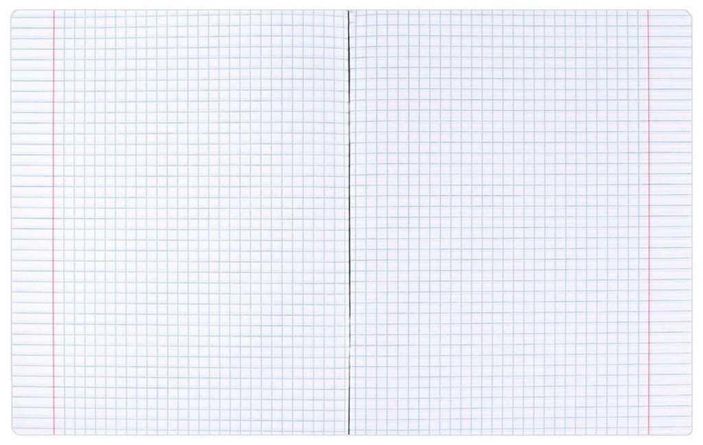 Тетрадь 48 лист кл. А5+ на скрепке, со справ. мат-ом "ФРАЗЫ С ХАРАКТЕРОМ. ИНФОРМАТИКА"