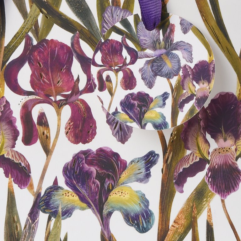 Пакет бумажный 26*32,4см матовый "Flora. Ирисы" BrunoVisconti