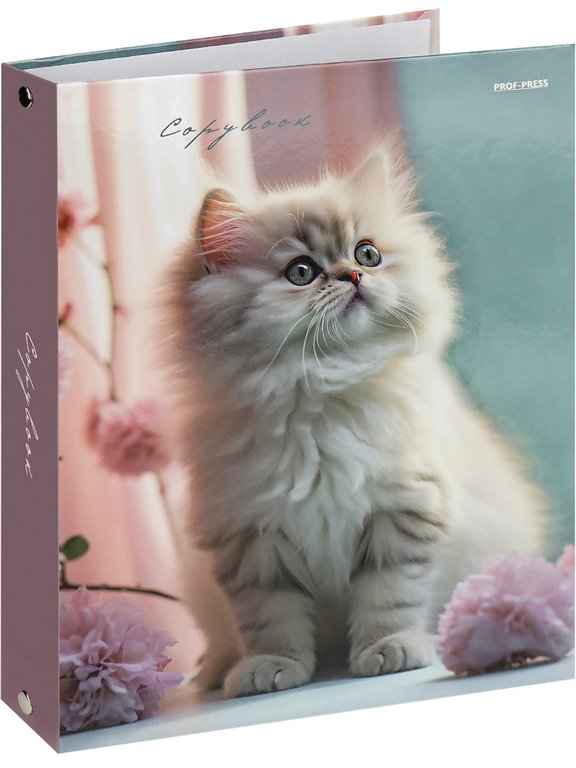 Тетрадь 80 лист кл. А5+ на кольцах "СВЕТЛЫЙ КОТЕНОК" тв. обл. Проф-Пресс