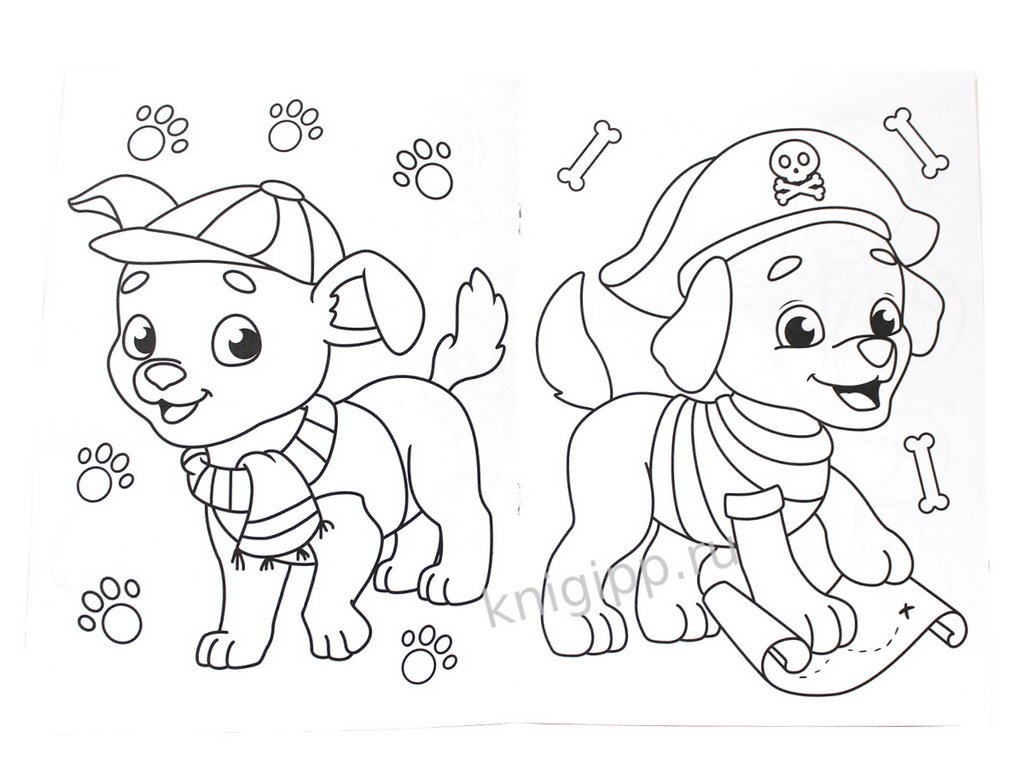 Раскраска А4 "Забавные щенки" 16 стр ПРОФ-пресс