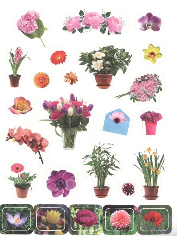 Набор наклеек 100 шт "Цветочки" ПРОФ-пресс