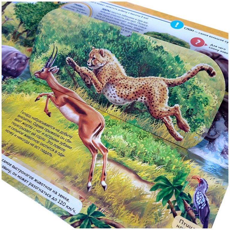 Энциклопедия 3+ "Животные" Malamalama