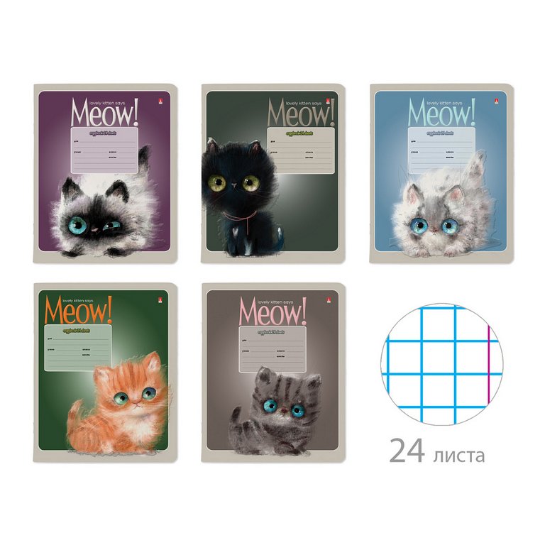 Тетрадь 24 лист кл. А5 "KITTY LIFE" 5 ВИДОВ