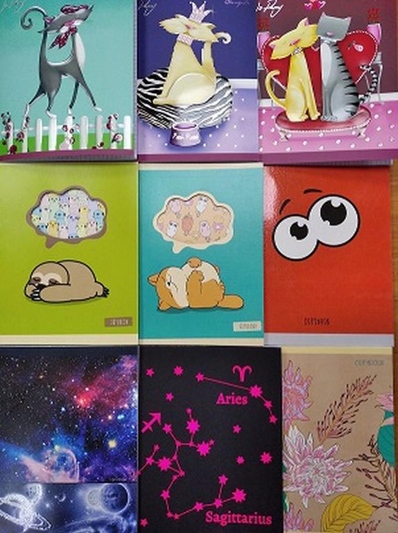 Тетрадь 48 лист кл. А5 на скрепке, цветн. карт. обл ассорти