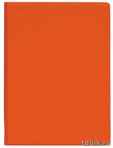 Блокнот А5 (оранж) ДПС