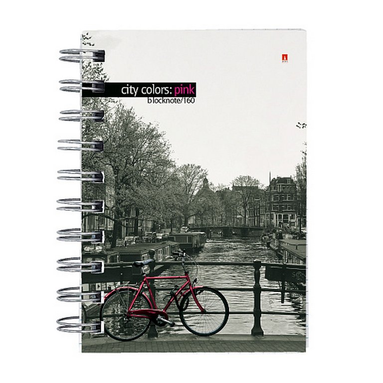 Бизнес-блокнот А6 160л., 105*148 мм, Альт 5 видов