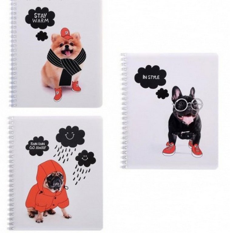 Тетрадь 48 лист кл. А5 на спирали "Нет плохой погоды"