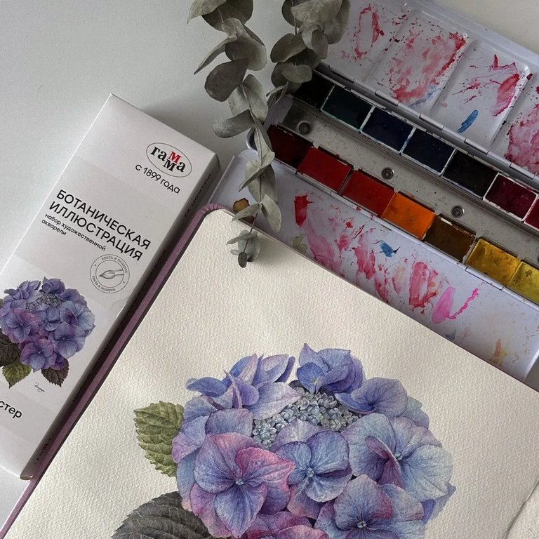 Краски акварельные художественные 14 цв. ГАММА "Ботаническая иллюстрация" в кюветах по 2,6 мл