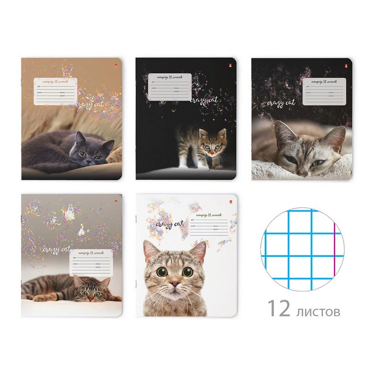 Тетрадь 12 лист кл. А5 "УДИВИТЕЛЬНЫЕ КОТЯТА"