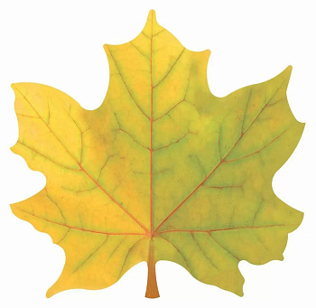 Наклейка оформительская на скотче осенняя  100*100мм "Кленовый лист" желтый