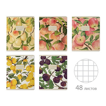 Тетрадь 48 лист кл. А5 на скрепке "FLORA. FRUITS" ассорти