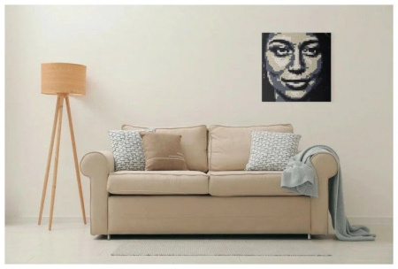 Фото-конструктор QBRIX ORIGINAL пластиковый 3500 деталей