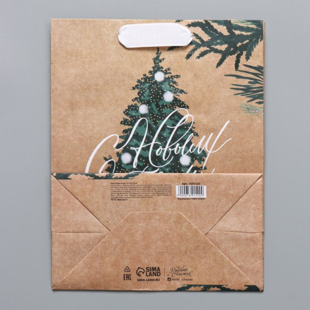 Пакет бумажный НГ 18*23см крафт "Winter"