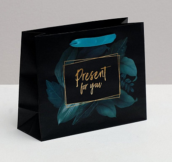 Пакет бумажный горизонтальный 22*17,5см ламинированный "Present for you"
