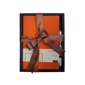 Набор подарочный BrunoVisconti "MERCURY" (ОРАНЖЕВЫЙ ЕЖЕДНЕВНИК А5 + РУЧКА)