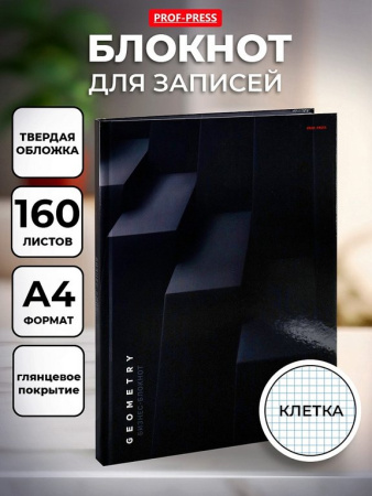 Бизнес-блокнот А4  160л 209*297 мм, "Темные ступени"