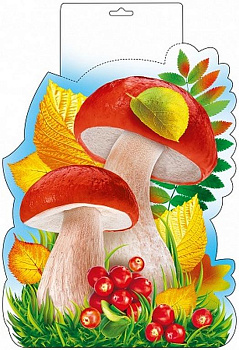 Плакат оформительский  осенний А4 "Грибы"