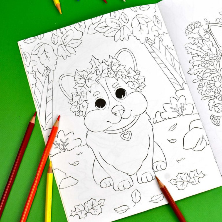 Раскраска А4 "Времена года. Осень" 8л Феникс+