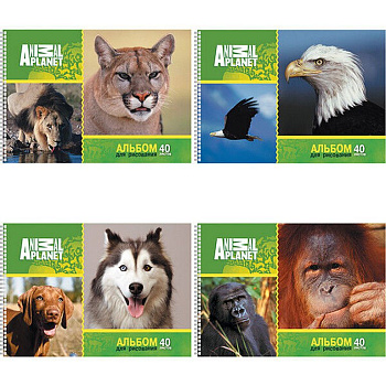 Альбом для рисования А4 40л. на спирали "Animal Planet"