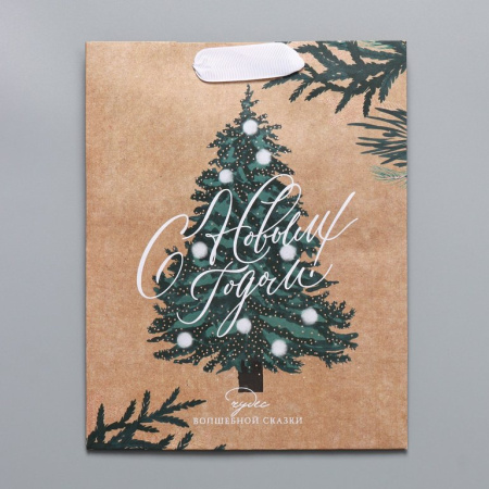 Пакет бумажный НГ 18*23см крафт "Winter"