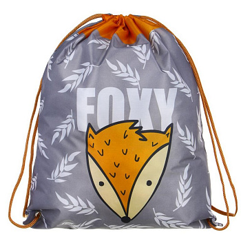 Сумка для обуви для девочки 41,5*34,8 см "ФОКСИ"