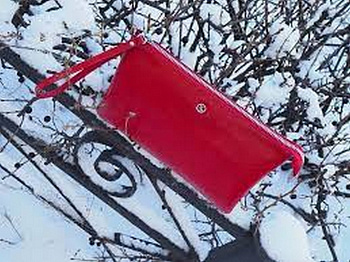 Портмоне D.Morelli "Модерн" с RFID-защитой, нат.кожа, цвет красный